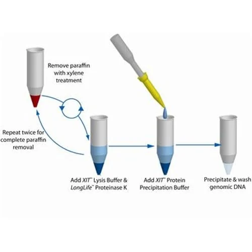 DNA Extraction