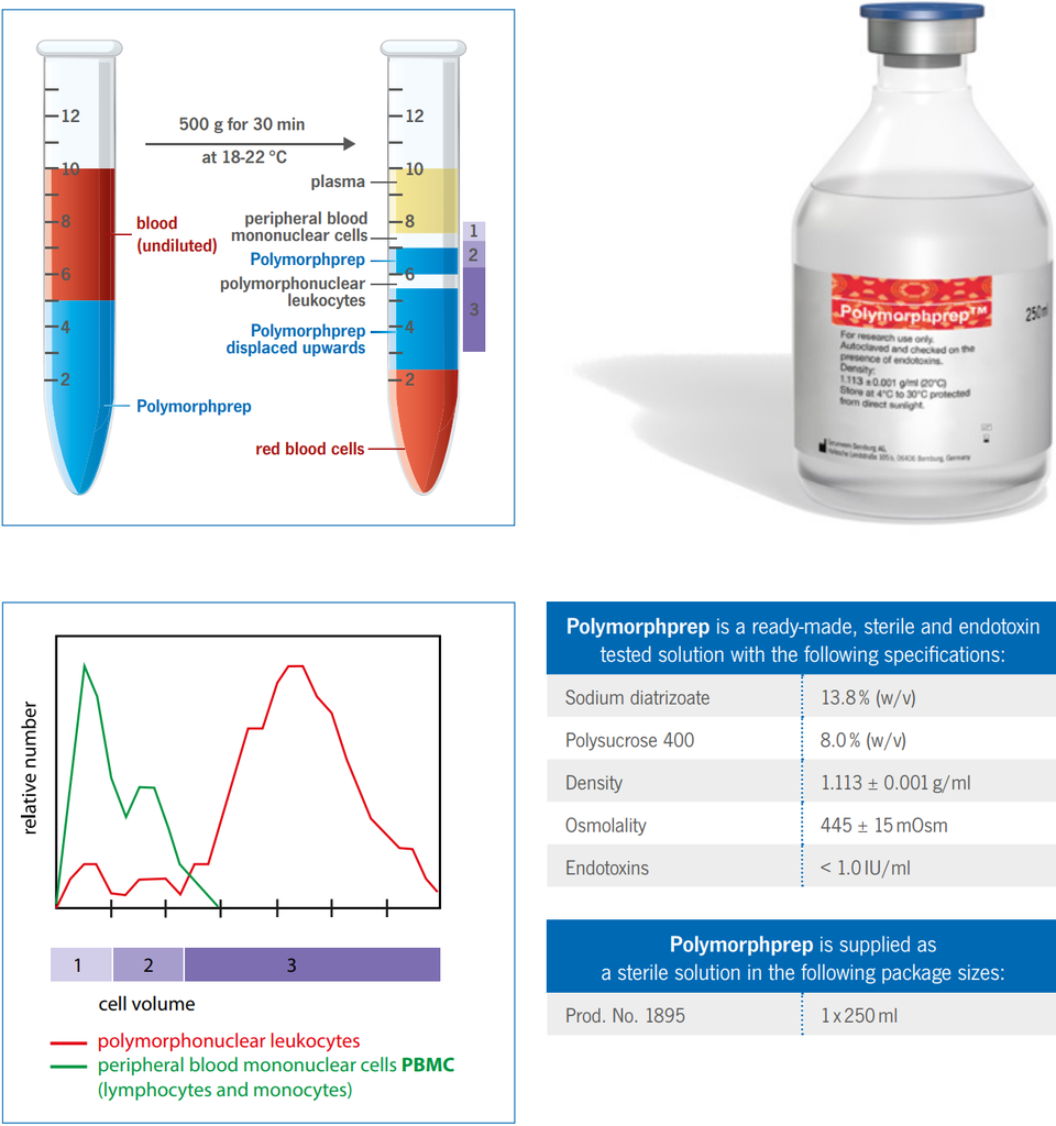  AXSsize:1114683  Polymorphprep size: 250mL