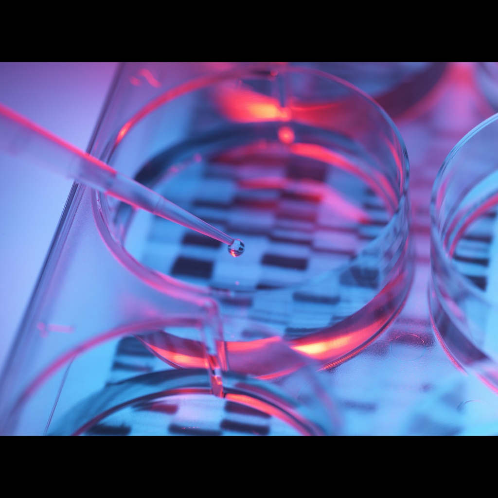 Equalbit 1 × dsDNA HS Assay Kit size: 100 Assays