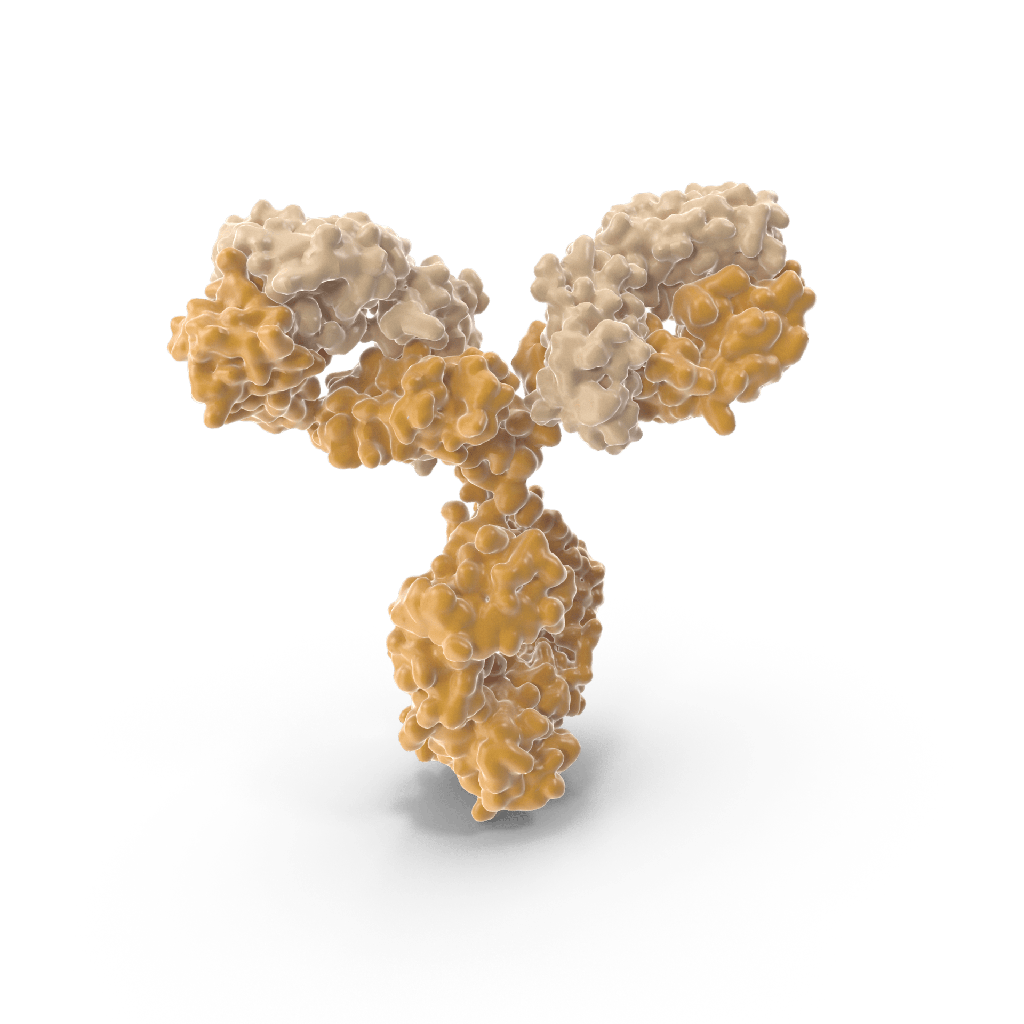 HBsAg antibody  20size:HR20  – 1 mg