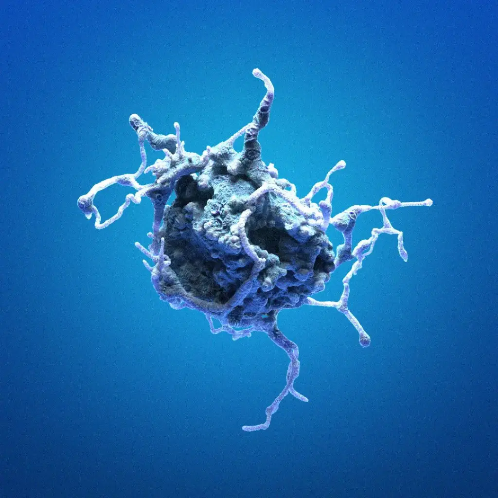 [GEN300659-MA] HK-CRISPR-Nup62-mEGFP Cells