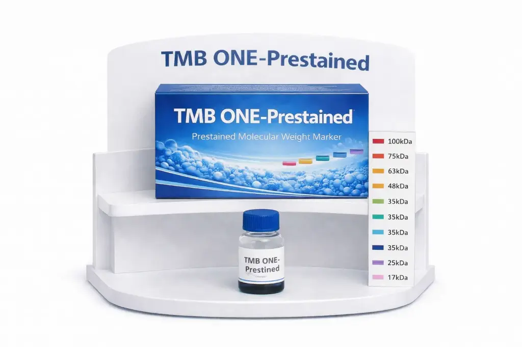 [4430H] TMB ONE-Prestained