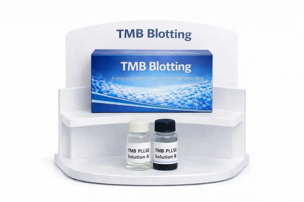 [4450A] TMB Blotting