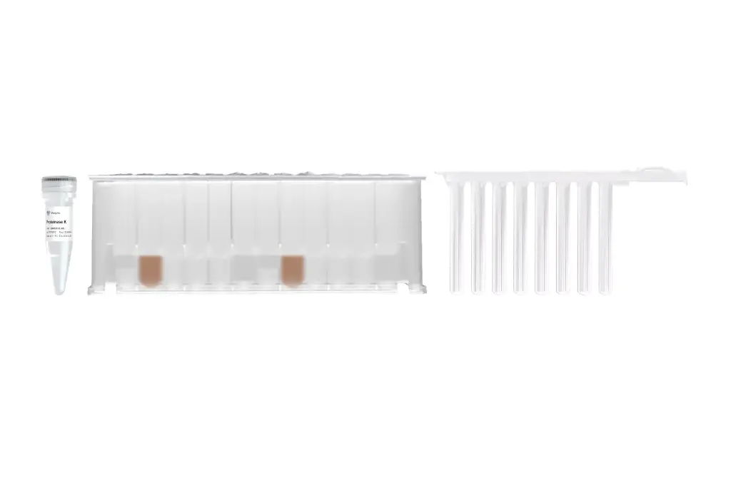 [MDDE-01] Magnetic Blood DNA Extraction Kit (Prepackaged)