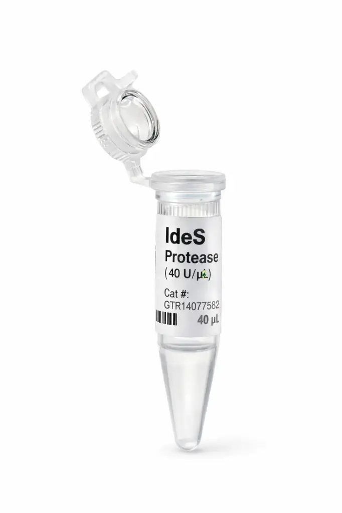 [GTR14077582] IdeS Protease (40U/μL)