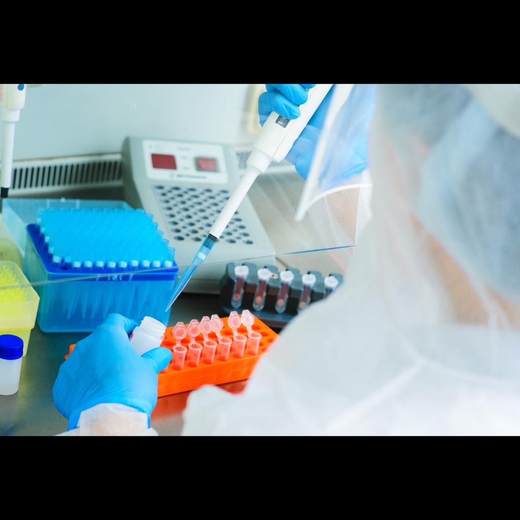 Babesia caballi, One Step qPCR, 50rxn